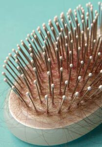 Do Herbs Work for Hair Loss? Image